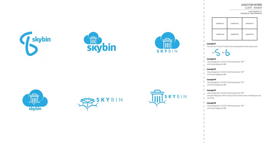 Skybin Logo Design Concept