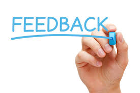 freelance consultant ask for client feedback