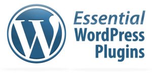 wordpress website developer